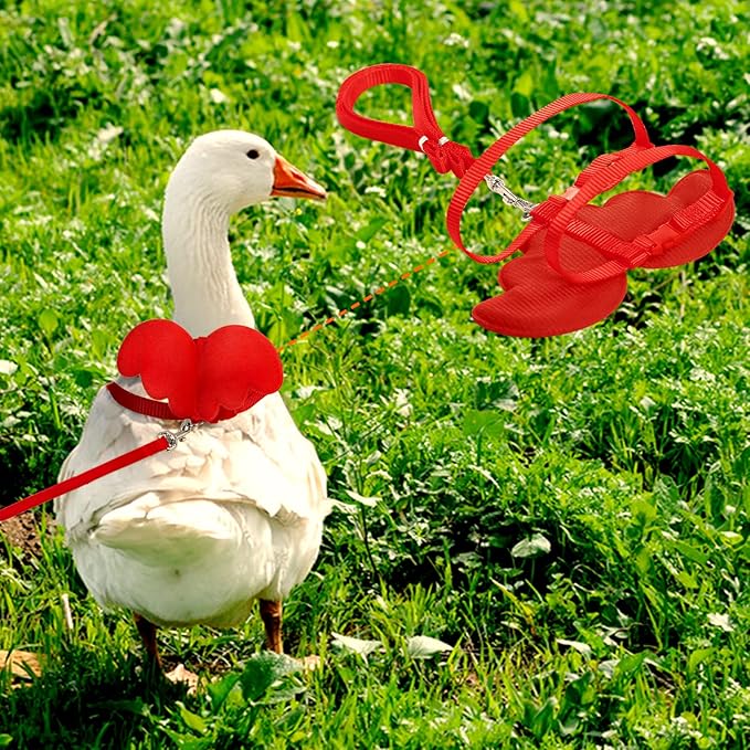 KAMA BRIDAL Duck Walking Harness and Leash Chicken Duck Outdoor Training Rope Adjustable Rope for Pet Poultry Hen Cock (S, Red)