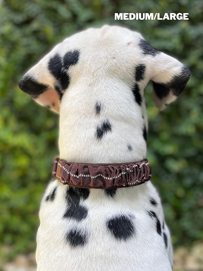 Tuff Pupper Heavy Duty Dog Collar with Handle | Ballistic Nylon Heavy Duty Collar | Padded Reflective Dog Collar with Adjustable Stainless Steel Hardware | Convenient Sizing for All Breeds