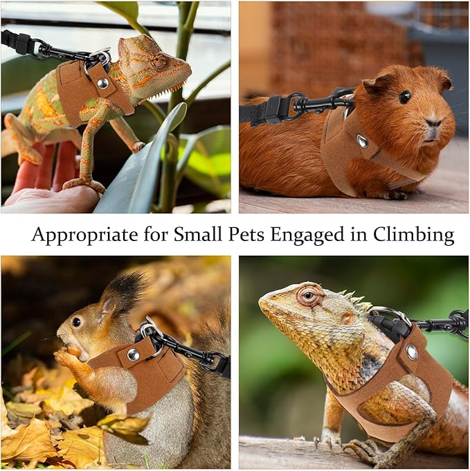 3Pcs Bearded Dragon Leash and Harness Set, Adjustable Lizard Leash Soft Small Animal Traction Rope, Vest Accessories for Squirrel Rat, Gecko, Bearded Dragon