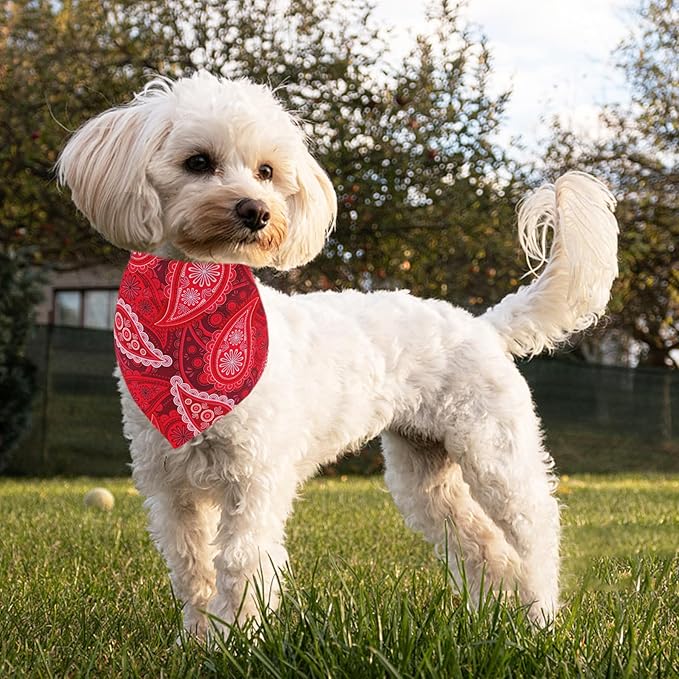 7 PCS Paisley Dog Bandanas for Small Dogs Kittens 18 Inch Polyester Dog Bandanas for Puppy Doggy XS Scarves Party Grooming S
