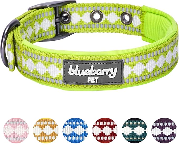 Blueberry Pet Soft & Safe 3M Reflective Jacquard Neoprene Padded Adjustable Dog Collar with Metal Buckle - Macaw Green, Neck 9-12.5", for Small Breed