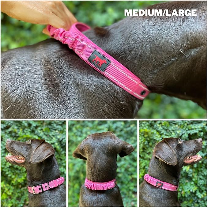 Tuff Pupper Heavy Duty Dog Collar with Handle | Ballistic Nylon Heavy Duty Collar | Padded Reflective Dog Collar with Adjustable Stainless Steel Hardware | Convenient Sizing for All Breeds
