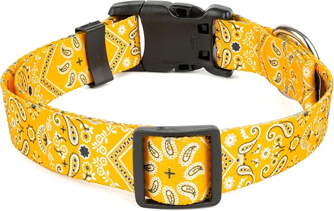 Country Brook Petz - Deluxe Yellow Bandana Dog Collar - Made in The U.S.A. - Country and Western Collection Featuring Rustic Designs (5/8 Inch, Small)