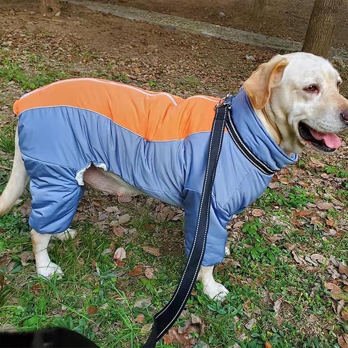 Toasty Warm Fullbody Snowsuit for Dog, Outdoor Windproof Coat with Leash Ring, Zip Up Reflective Thick Dog Snow Jacket, HazeBlue, 22