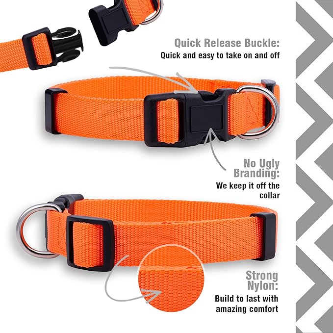 Native Pup Basic Nylon Dog Collar, Adjustable for Small, Medium, Large pet and Puppies Accessories, Cute Colors for Male, Female, boy, Girl, Puppy (Large, Orange)