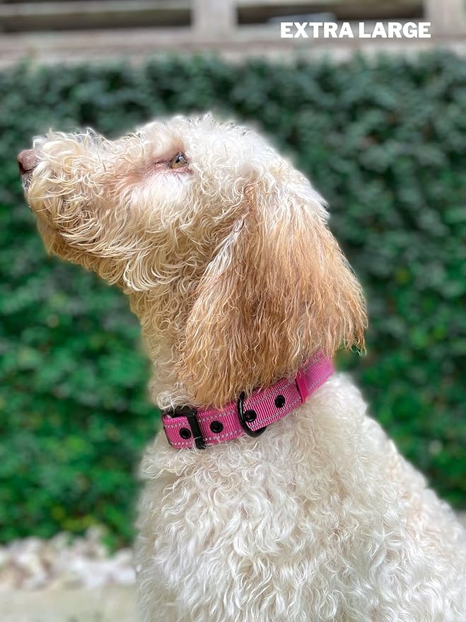 Heavy Duty Dog Collar with Handle | Ballistic Nylon Heavy Duty Collar | Padded Reflective Dog Collar with Adjustable Stainless Steel Hardware | Convenient Sizing for All Breeds X-Large (19-23" Neck)