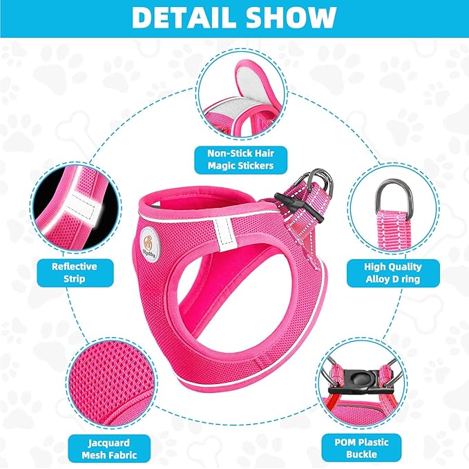 Dog Harness and Leash Set, No Pull Soft Mesh Pet Harness for Small Medium Dogs, Cats - Step in Adjustable Reflective Puppy Harness with Buckle and Double D-Rings - Red, XXS