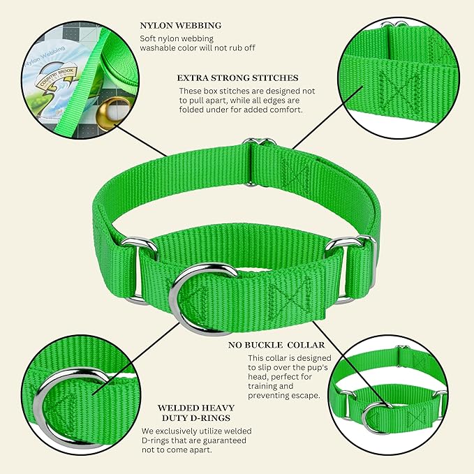Country Brook Petz Martingale Dog Collar - Heavy-Duty Training Collar with No Buckle - Service Dog Collar for All Pups - Vibrant, Colorful Collection (Hot Green, 1 Inch, Extra Large)