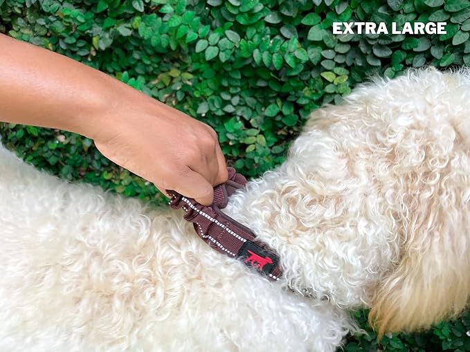 Heavy Duty Dog Collar with Handle | Ballistic Nylon Heavy Duty Collar | Padded Reflective Dog Collar with Adjustable Stainless Steel Hardware | Convenient Sizing for All Breeds X-Large (19-23" Neck)