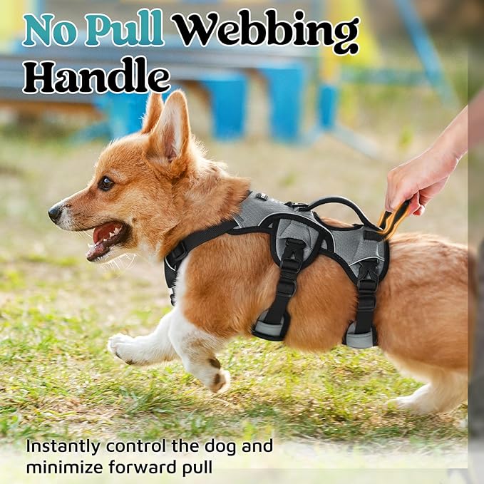 rabbitgoo Escape Proof Dog Harness, Soft Padded Full Body Pet Harness, Reflective Adjustable No Pull Vest with Lift Handle and Leash Clip for Large Dogs Walking Hiking Training, S, Grey