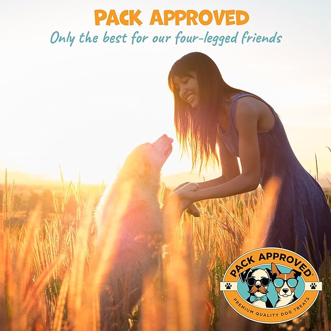 6" Braided Camel Sticks - Long Lasting Dog Chews for Aggressive Chewers - Rawhide Alternative, Grain Free, One Ingredient Dog Treats - Great for Dog Dental Care - (10 Pack)