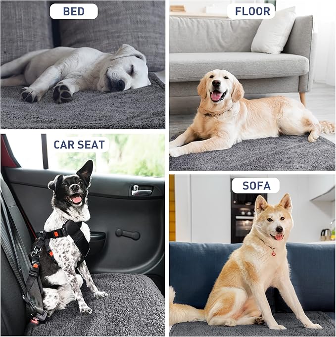 Waterproof Dog Blanket,Premium Pet Puppy Cat Soft Fleece Sherpa Throws Blanket Cushion Mat for Car Seat Furniture Protector Cover Small 50" x 30" by Pawsse Gray