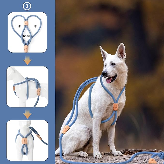 Mile High Life Harness Lead No Pull, All in one Dog Lead 2-in-1, Rope Leash and Harness Two in One, Slip Leash for Puppy Small Dogs Training, 4FT Blue