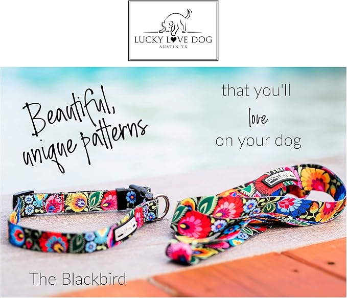 Lucky Love Dog - Adjustable Dog Collar with Easy Click Buckle for Small to Large Ones, Durable, & Comfortable for Male & Female Dogs, Pet Collar for Puppies & Adult Dogs - Blackbird, X-Small