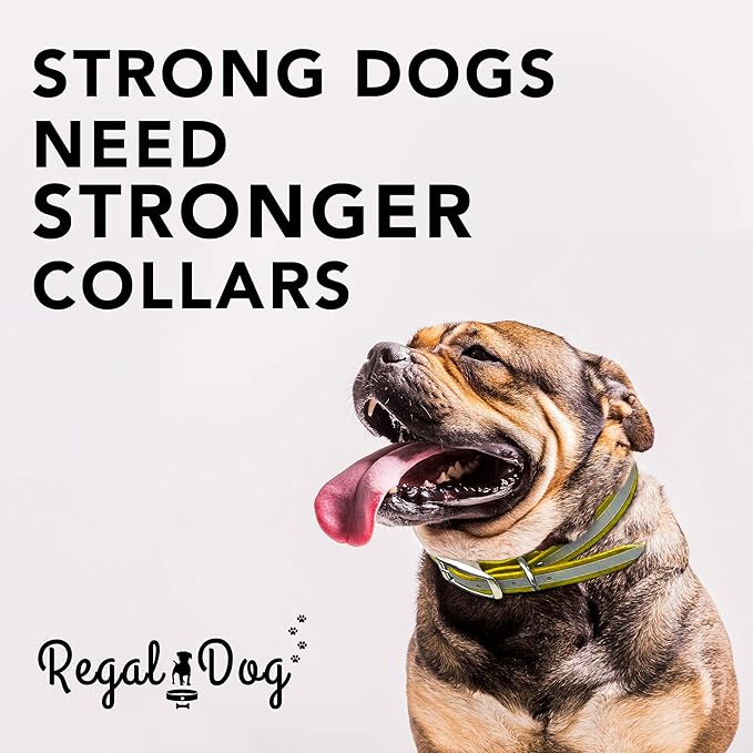 Regal Dog Products Small Yellow Heavy Duty Reflective Dog Collar with Durable Metal Buckle and D Ring Adjustable, Chew Proof & Waterproof Strong Small Dog Collar Other Sizes for Medium & Large Dogs