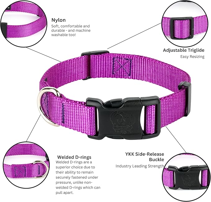 Country Brook Petz - American-Made Dog Collar for Large, Medium, and Small Dogs and Puppies - Deluxe Heavy Duty Nylon in 33 Dazzling Colors (Large, 1 Inch Wide, Bright Purple)
