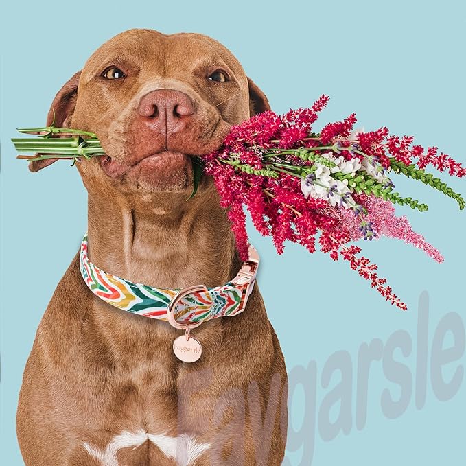 Faygarsle Multicolor Pattern Dog Collar for Small Medium Large Dogs Cute Puppy Collars for Female Dogs for Summer Spring Wedding Necklace Girl Dog Collar S