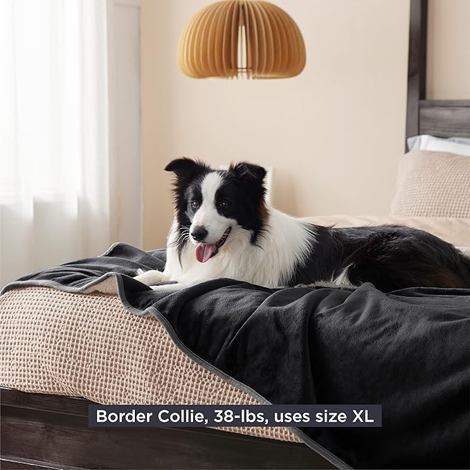 Bedsure Cat Blanket for Indoor Cats - Waterproof Calming Cat Blankets for Couch Bed Protection, Sherpa Fleece Pet Blanket, Soft Plush Reversible Throw Furniture Protector, 60"x50", Black