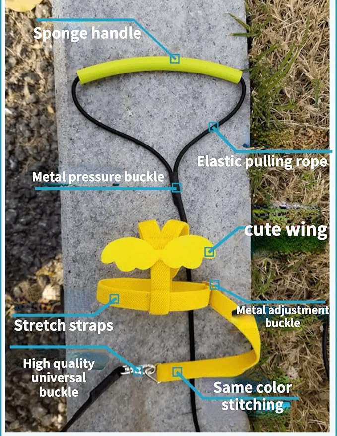Pet Parrot Bird Harness Leash Adjustable Bird Flying Harness Traction Rope with Cute Wing for Parrots Pigeons Budgerigar Lovebird Cockatiel Mynah Outdoor Training Toy (M, Blue)