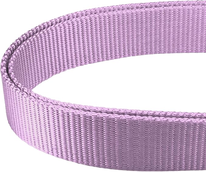 Mikivery Martingale Dog Collar Nylon Adjustable and Safety Training Metal Buckle Dogs Collars for Small Medium and Large Breed(Violet,L)