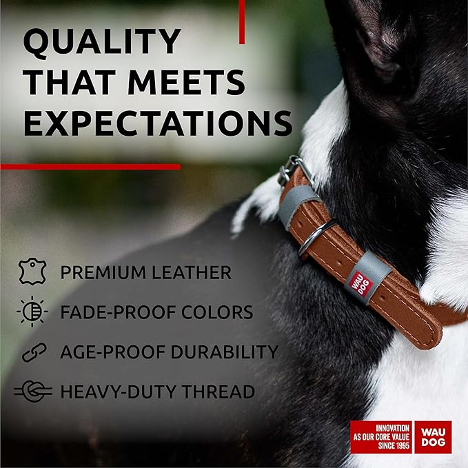 WAUDOG Long Lasting Leather Dog Collar for Large Dogs, Medium & Small Dogs - Adjustable Classic Puppy Collars for Large Breed Dogs - Boy & Girl Dog Collars with Durable Buckle, D-Ring & QR Dog Tag