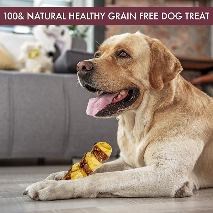 Water Buffalo Retriever 9 Inch Cheek Roll Dog Chews - 3 Pack (Healthy Alternative for Beef Rawhide for Dogs, Natural Treat, Single Source Protein Dog Treat)