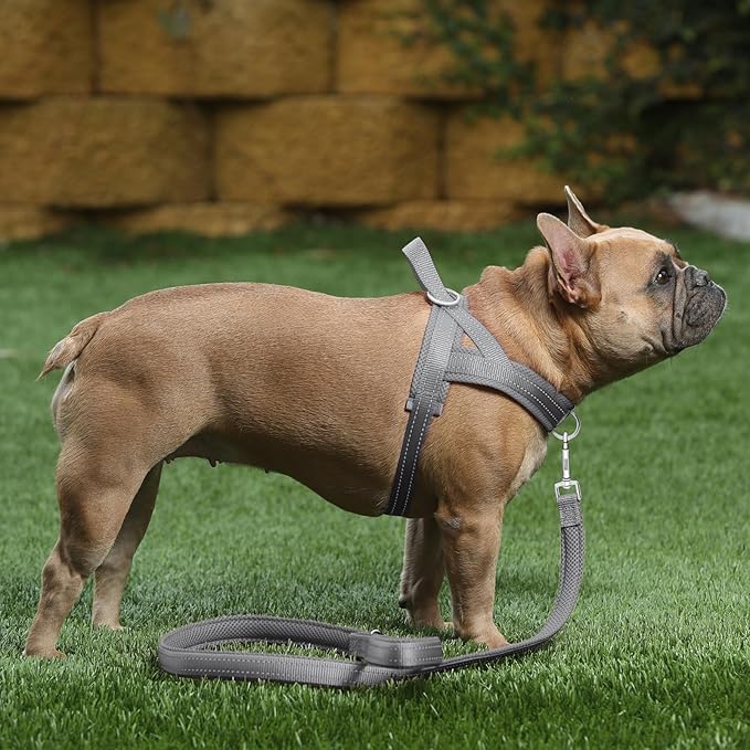 Plutus Pet No Pull Dog Harness with Breathable Mesh Padded, Adjustable Reflective Escape Proof Dog Harness, Quick Fit Dog Vest Harness for Small Medium Large Dogs(L, Gray)