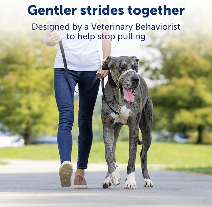 PetSafe Gentle Leader No-Pull Head Collar for Dogs, Dog Head Collar - The Ultimate Solution to Pulling, Padded Nose Loop, Quick-Snap Neck Strap, Dog Halter, Medium - Black