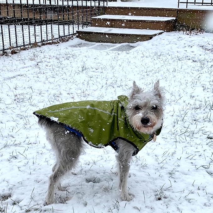 Mile High Life Dog Raincoat, Adjustable Waterproof Reflective Rain Jacket for Small Medium Large Dogs, Lightweight Breathable Pet Rain Coat with Leash Hole(Lime Yellow,S Chest 22-25")