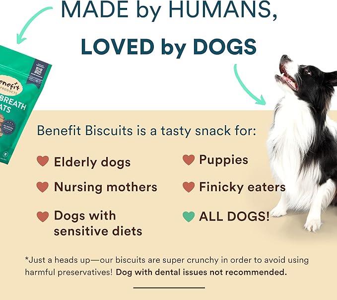 Benefit Biscuits, All Natural Dog Treats, Certified Vegan, Non GMO, Wheat Free, Healthy Dog Biscuits, Made in USA (Mint, Large Bag 1lb)