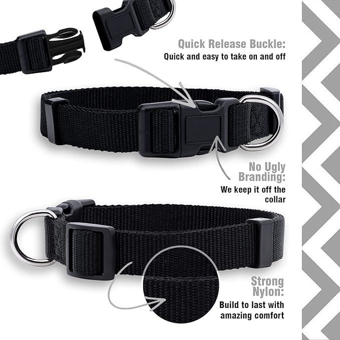 Native Pup Basic Nylon Dog Collar, Adjustable for Small, Medium, Large pet and Puppies Accessories, Cute Colors for Male, Female, boy, Girl, Puppy (Small, Black)