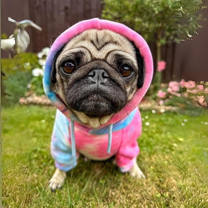 Spark Paws Dog Hoodie - Premium Quality, Buttery Soft, Superior Comfort and Fit, Calming Fleece Interior, Suitable for All Breeds - Snow Cone Skydye - S