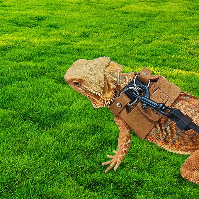 3 Pack Bearded Dragon Leash and Harness Set,Three Sizes Bearded Dragon Harness and Leash,Adjustable,Suitable for Small Reptiles (Brown)