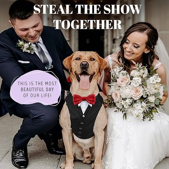 Dog Tuxedo for Wedding Outfit, Dog Suit and Tie Costumes for Birthday, Halloween, Cosplay, Christmas Party, Pet Formal Wear with Bowtie, Tux for Medium Large Dogs, Bulldog, Labrador, Husky