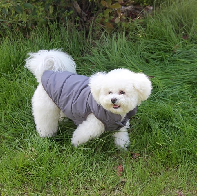 2 Layers Fleece Lined Warm Dog Jacket for Puppy Winter Cold Weather,Soft Windproof Small Dog Coat,Grey XS