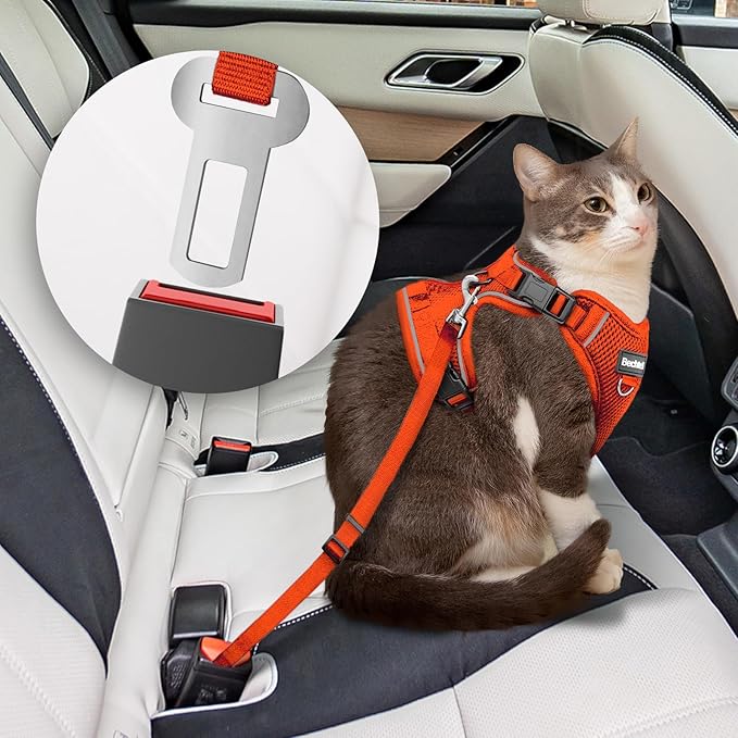 Kitten Harness and Leash Seat, The Upgrade Can be Adjusted in Four Directions and Breathable Cat Harness for Anti Escape That can be Fitted and Positioned, Reflective Strips Harness, Orange, XXS