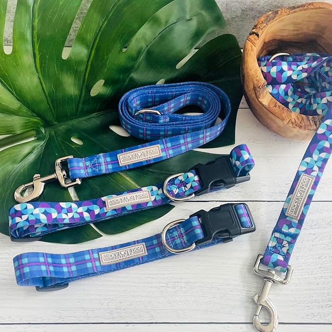 Lucky Love Dog - Adjustable Dog Collar and Leash Set with Easy Click Buckle for Small to Large Dogs, Durable, & Comfortable Collar for Male & Female Dogs, Puppies & Adult Ones - Jasper Combo, Small