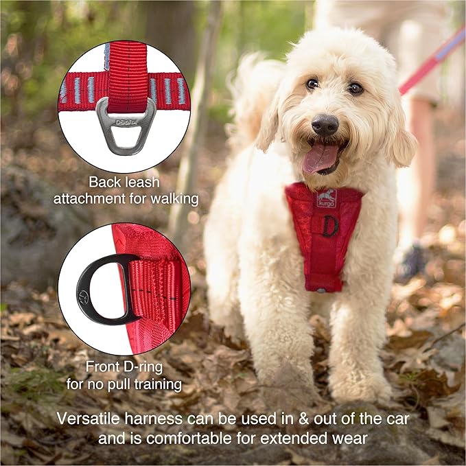 Kurgo Enhanced Strength Tru-Fit Smart Dog Harness, Black, Small - Crash Tested Car Safety Harness for Dogs, No Pull Dog Harness, Includes Pet Safety Seat Belt Tether