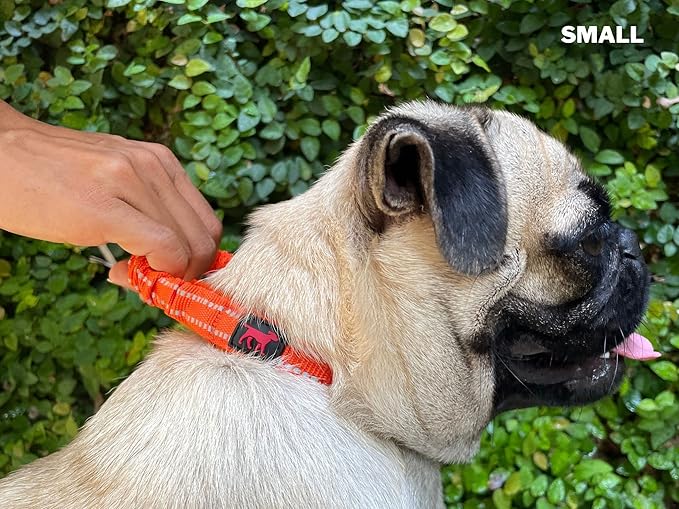 Tuff Pupper Heavy Duty Dog Collar with Handle | Ballistic Nylon Heavy Duty Collar | Padded Reflective Dog Collar with Adjustable Stainless Steel Hardware | Convenient Sizing for All Breeds