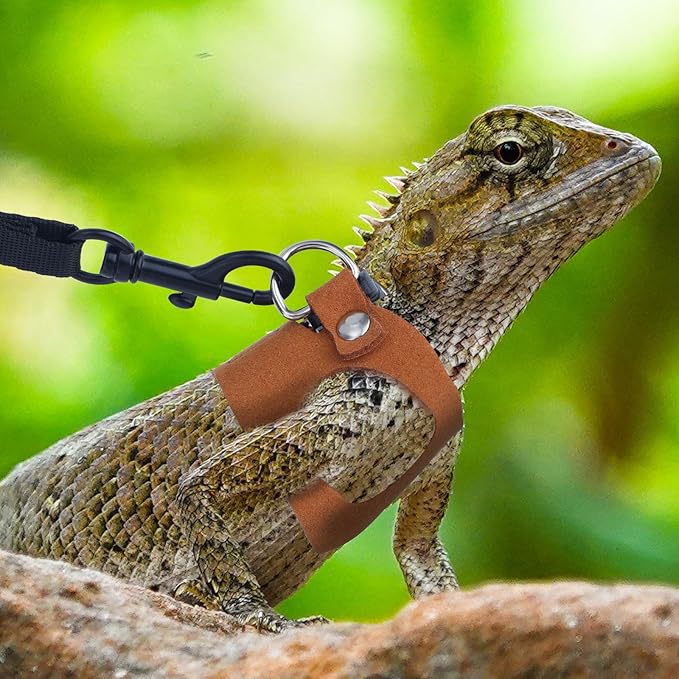 3 Pcs Bearded Dragon Harnesses, Adjustable Soft Leather Lizard Harness with Retractable Traction Rope Small Animal Walking Vest Leash Accessories Set for Reptiles Squirrel Lizard Chinchilla