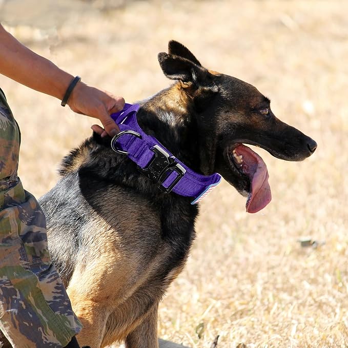 Tactical Military Dog Collar - Adjustable Nylon, Heavy Duty Metal Buckle With Handle for Training, With Patches (Purple, L)