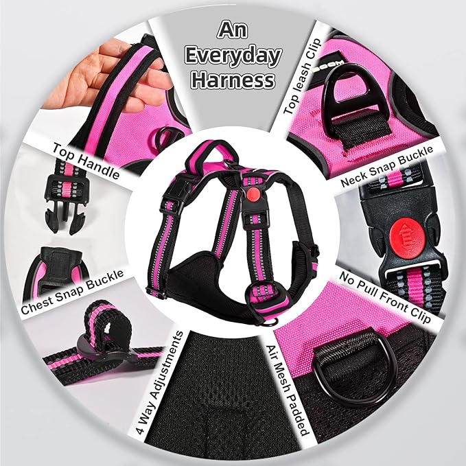 No Pull Dog Harness with A Free Heavy Duty 5ft Dog Leash, Adjustable Soft Padded Dog Vest, Reflective No-Choke Pet Oxford Vest with Easy Control Handle and Dog Leash for Dogs (Pink, Medium)