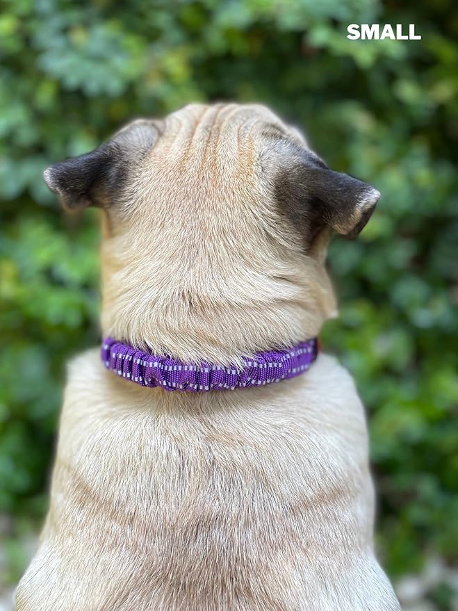 Tuff Pupper Heavy Duty Dog Collar with Handle | Ballistic Nylon Heavy Duty Collar | Padded Reflective Dog Collar with Adjustable Stainless Steel Hardware | Convenient Sizing for All Breeds
