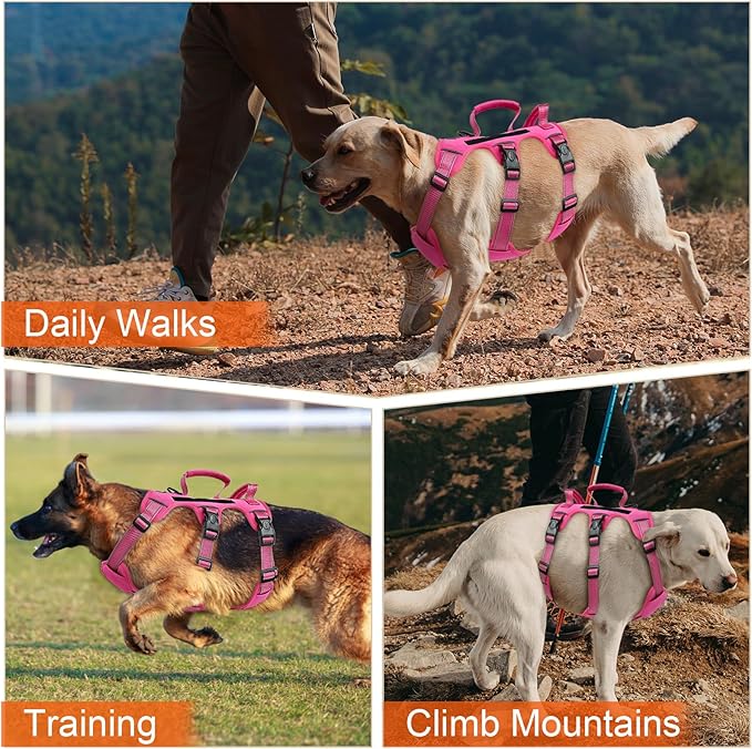 Escape Proof Dog Harness for Large Medium Sized Dogs Six Point Adjustable, Service Dog Vest Harness and Leash Set, No Pull Dogs Harnesses with Handle, XL Dog Harnesses for Walking(Pink, L)