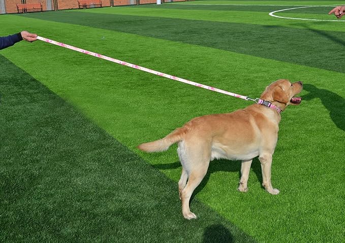 Dog Collar and Leash Set with Bohemia Floral Tribal Geometric Patterns - Soft Ethnic Style Collar Adjustable for Small Medium Large Dogs(Pink Rose Set,XS)