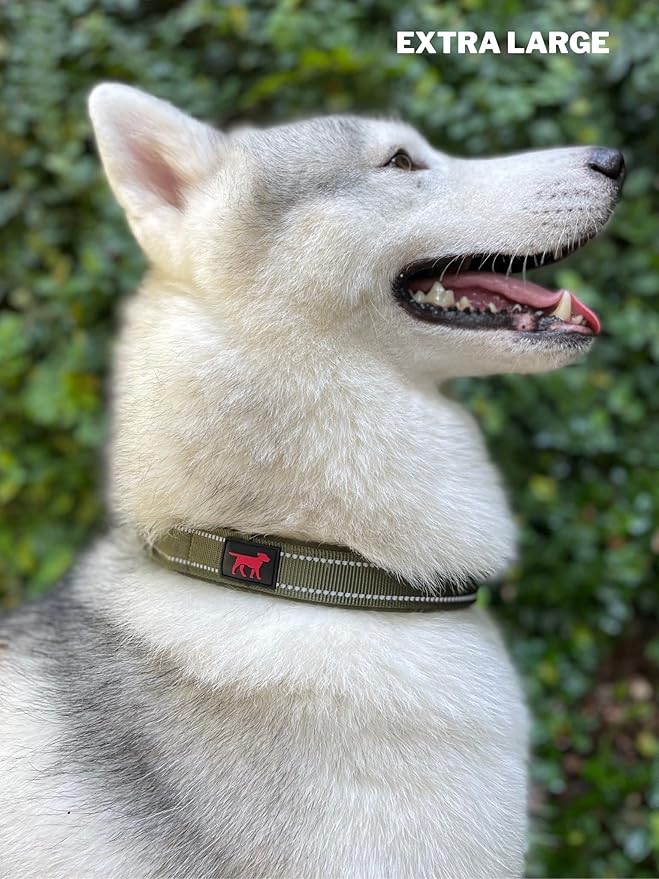 Tuff Pupper Heavy Duty Dog Collar with Handle | Ballistic Nylon Heavy Duty Collar | Padded Reflective Dog Collar with Adjustable Stainless Steel Hardware | Convenient Sizing for All Breeds