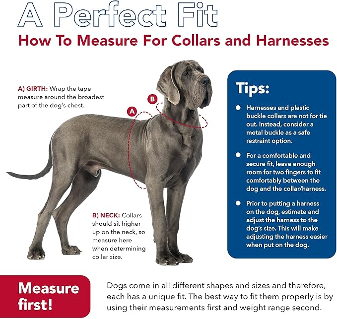 Coastal Pet Adjustable Dog Collar with Metal Buckle - Comfortable Fade-Resistant Dog Collar with Snap Lock - Perfect for Walking & Tie Outs - Black - 5/8" x 10"-14"