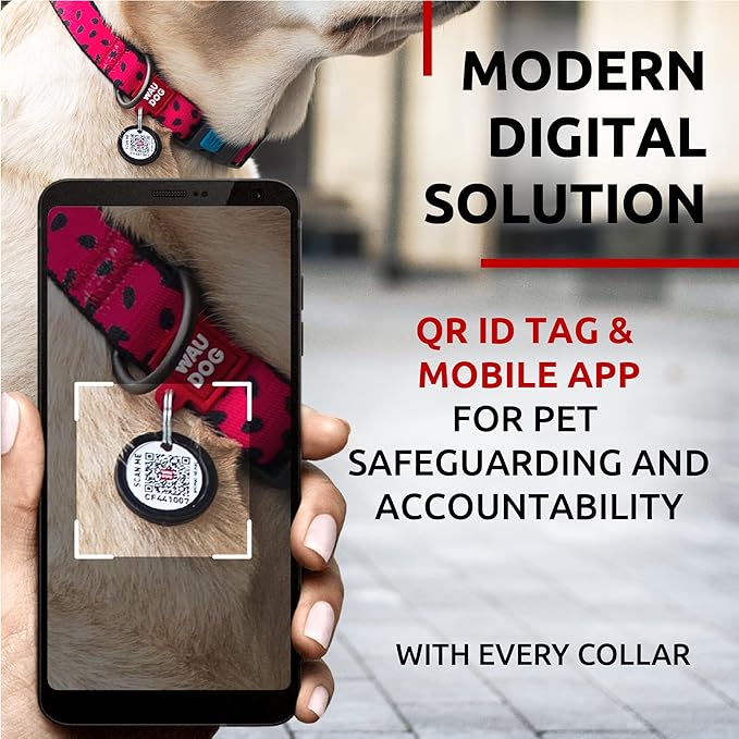 WAUDOG Nylon Dog Collar - Adjustable Dog Collar for Large Dogs, Small & Medium Dogs - Breakaway Puppy Collars for Large Breed Dogs - Boy & Girl Dog Collars with Durable Plastic Buckle and QR Dog Tag