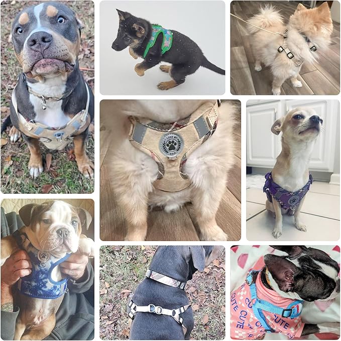 BEAUTYZOO Step in Dog Harness Collar and Leash Set for Small Medium Large Dogs, No Pull No Choke Puppy Harness, Soft Mesh Reflective Pet Padded Vest Adjustable for Doggie Girl or Boy,Chihuahua, Pink S