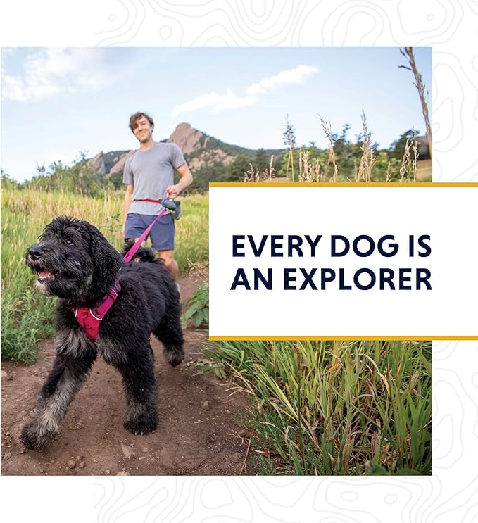 Ruffwear, Front Range Dog Leash, 5 ft Lead with Padded Handle for Everyday Walking, Moonlight Fade